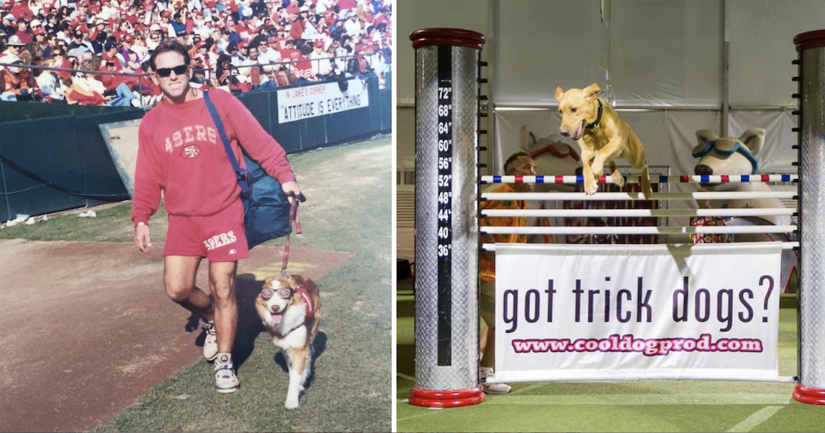 Geadopteerde pup inspireerde een bekroonde behendigheidsshow met alle reddingshonden
